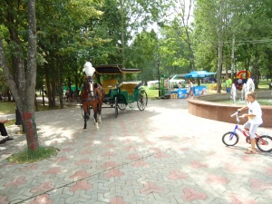 Лошадь около фонтана в парке культуры и отдыха в Долгопрудном