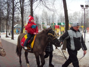 Год Лощади в Долгопрудном в парке