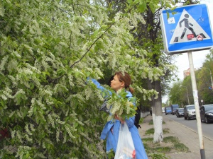 В Долгопрудном дерево упало на машину