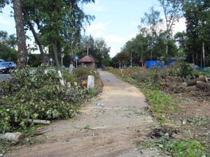 В Долгопрудном продолжается вырубка деревьев и кустарника под строительство эстакады на Новодачной