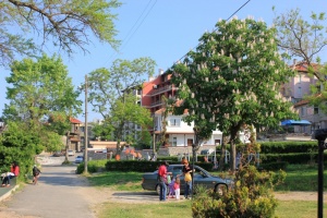 Парк в Болгарии