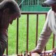 День шахмат в Долгопрудном